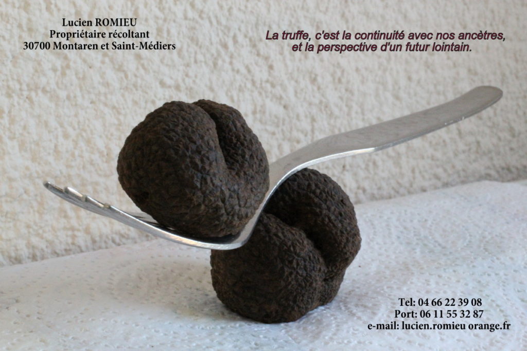 Producteur de Truffes à Uzès » Acheter des Truffes